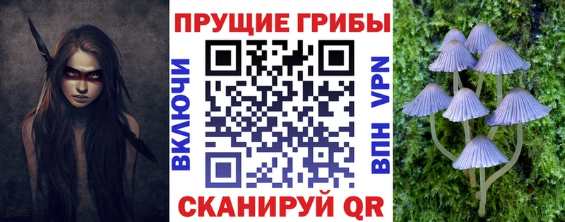 дарнет шоп  Грязовец  Галлюциногенные грибы ЛСД 